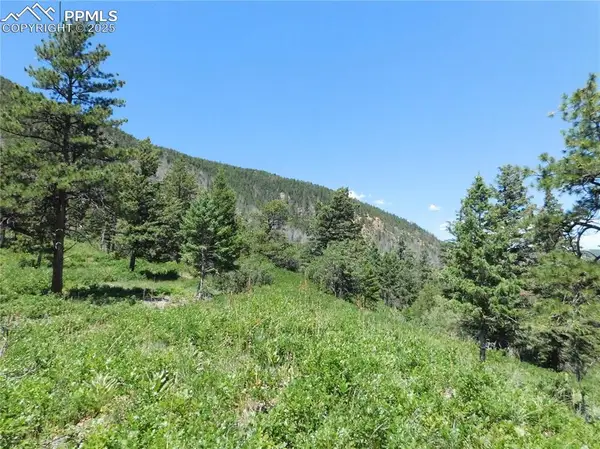 5900 Pawnee Road, Larkspur, CO 80118