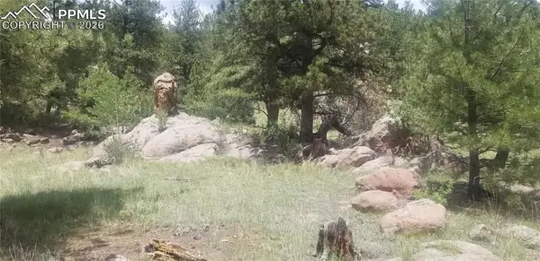 61 Canyon Drive, Florissant, CO 80816