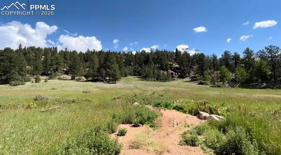 61 Canyon Drive, Florissant, CO 80816 - #3