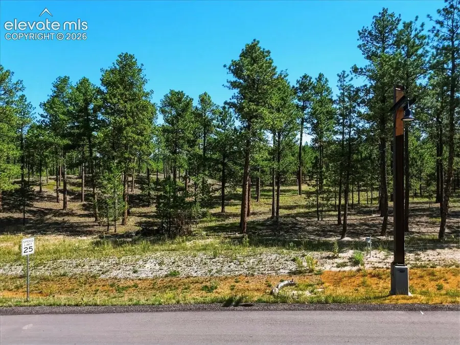 14931 Quartz Creek Drive, Colorado Springs, CO 80908 - #3