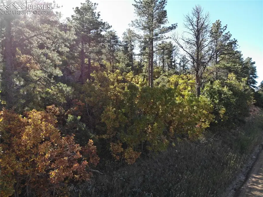 Oakdale Terrace, Monument, CO 80132 - Image #2