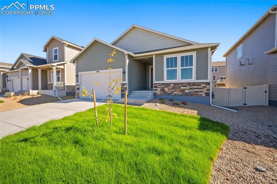 9157 Golden Buffs Drive, Colorado Springs, CO 80925 - Image #3