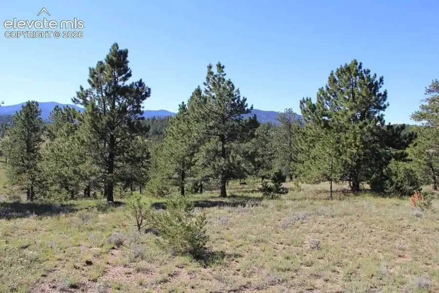 Patriot Circle, Westcliffe, CO 81252 - #2