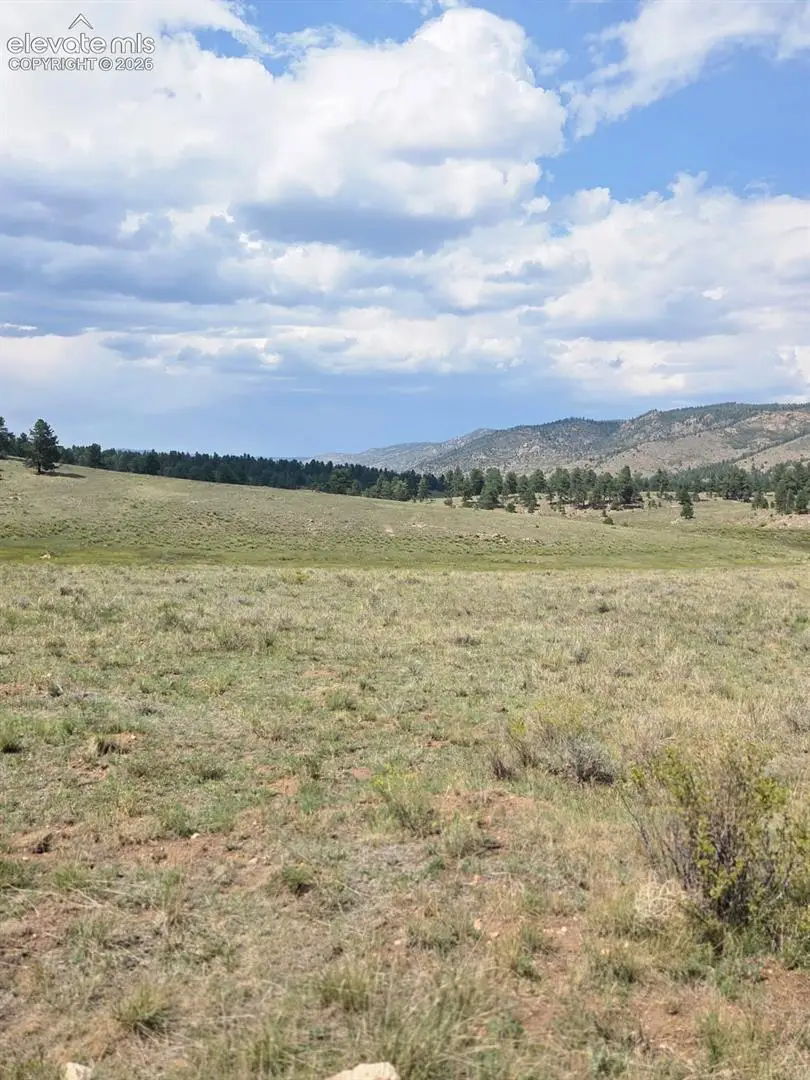 Patriot Circle, Westcliffe, CO 81252 - #3