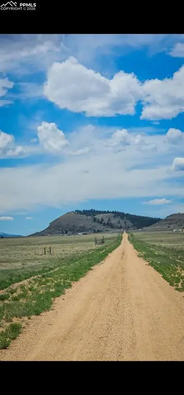 671 S Muley Gulch Drive, Hartsel, CO 80449 - #2