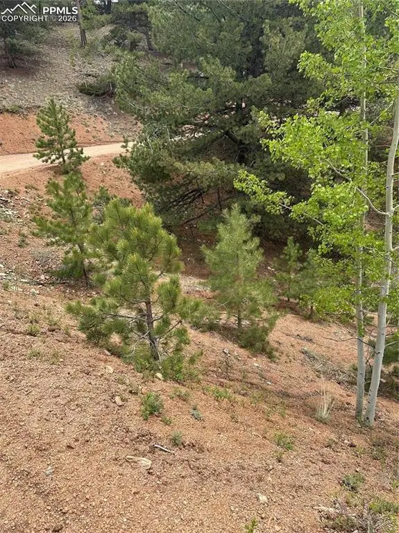 1600 Pikes Peak Drive, Divide, CO 80814 - #1