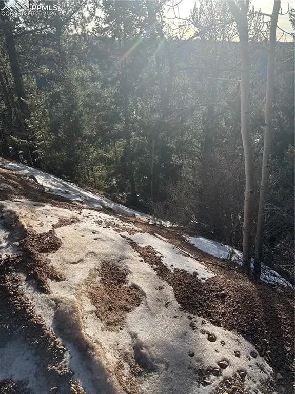 1600 Pikes Peak Drive, Divide, CO 80814 - #3