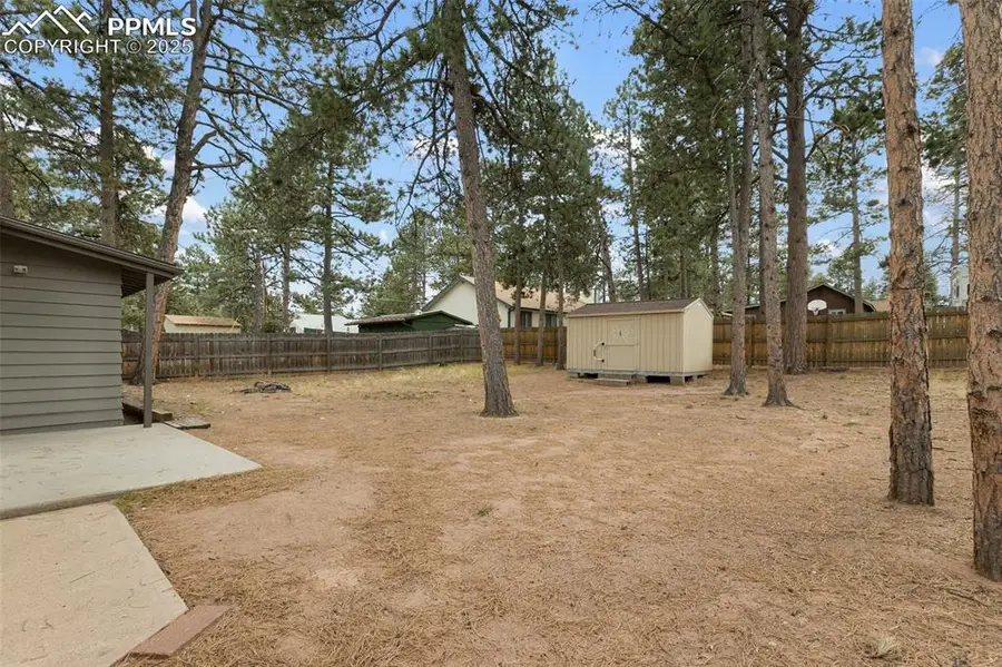 415 W Bowman Avenue, Woodland Park, CO 80863 - Image #3