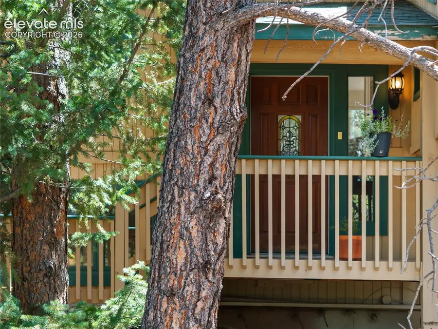 1150 Forest Hill Place, Woodland Park, CO 80863 - #3
