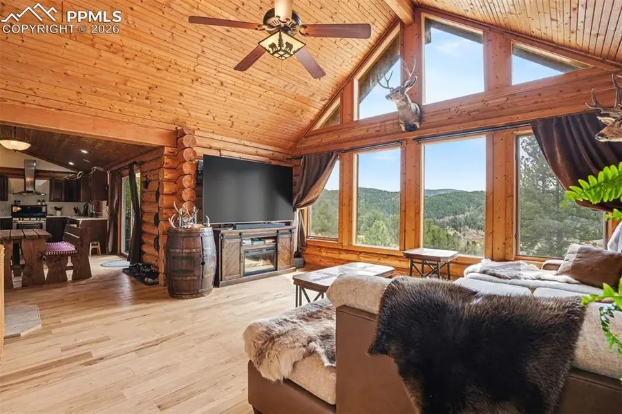 220 Rocky Mountain View, Divide, CO 80814 - #3