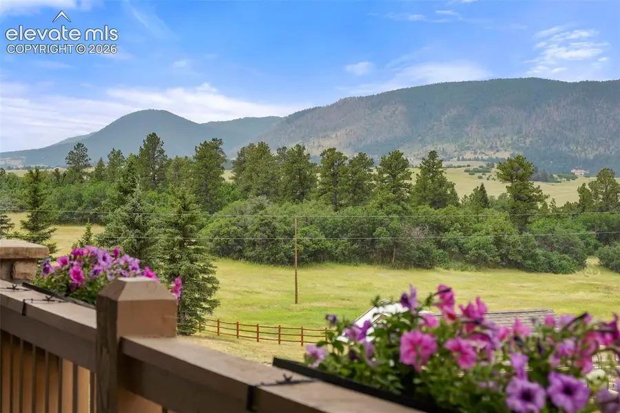9610 S Perry Park Road, Larkspur, CO 80118 - #3