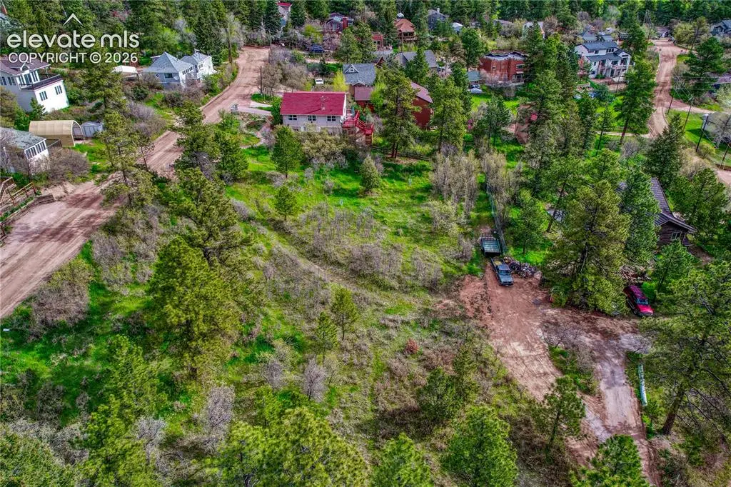 Buena Vista Avenue, Palmer Lake, CO 80133 - #1