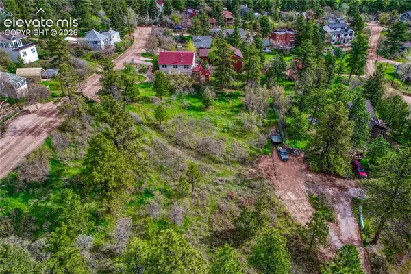 Buena Vista Avenue, Palmer Lake, CO 80133