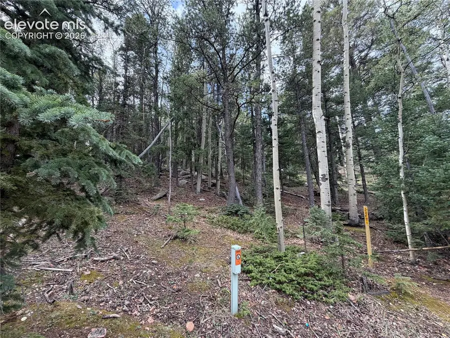 118 Will Stutley Drive, Divide, CO 80814 - #2