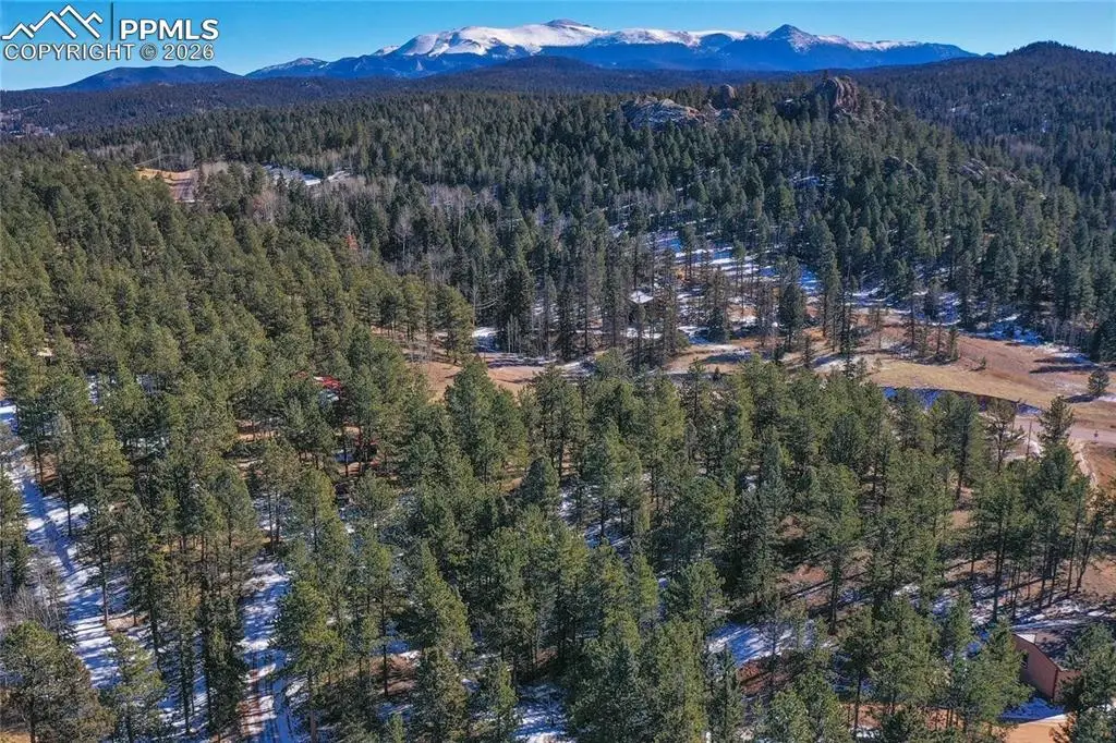 683 Kingston Drive, Florissant, CO 80816 - #1