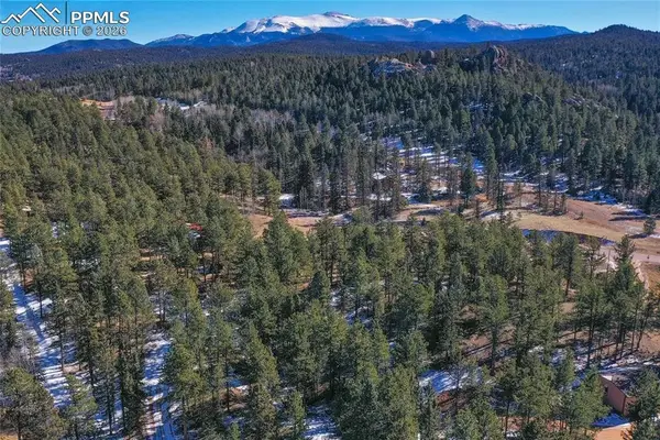 683 Kingston Drive, Florissant, CO 80816