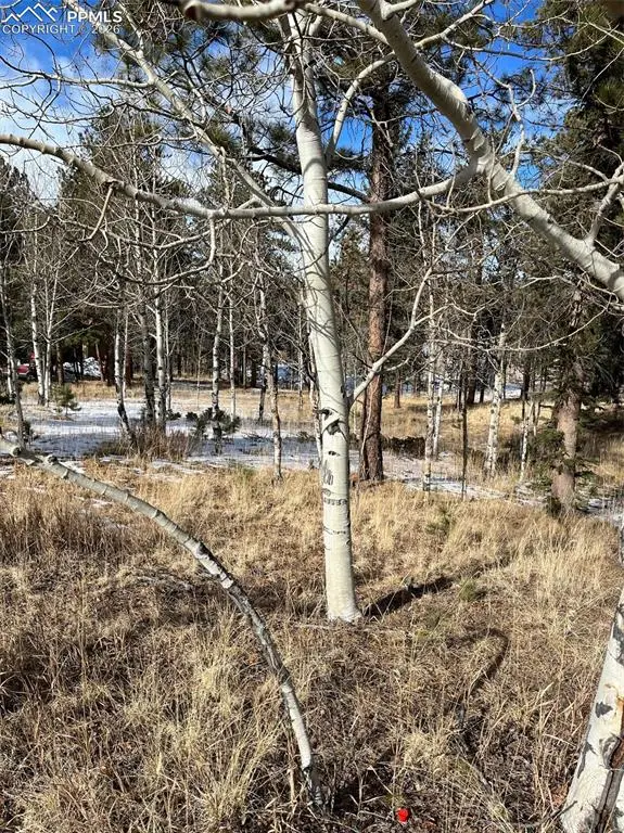 630 Pembrook Drive, Woodland Park, CO 80863 - #1