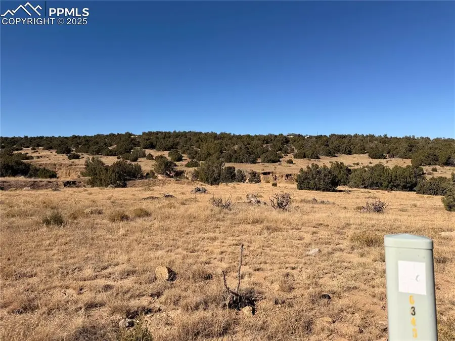 537 Rio Cucharas, Walsenburg, CO 81089 - #3