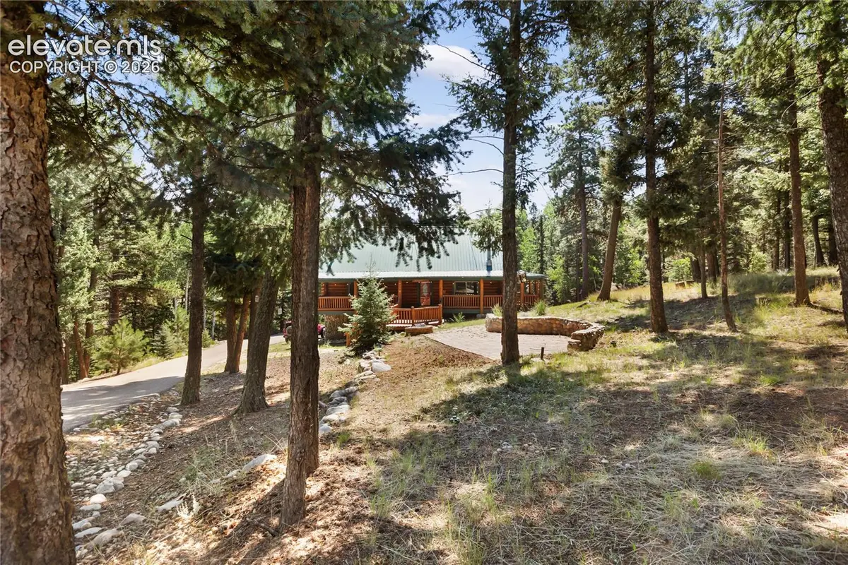 734 Kutsu Ridge Road, Florissant, CO 80816 - #1