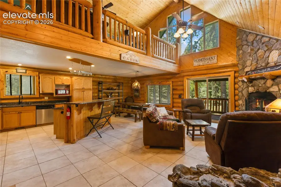 734 Kutsu Ridge Road, Florissant, CO 80816 - #3