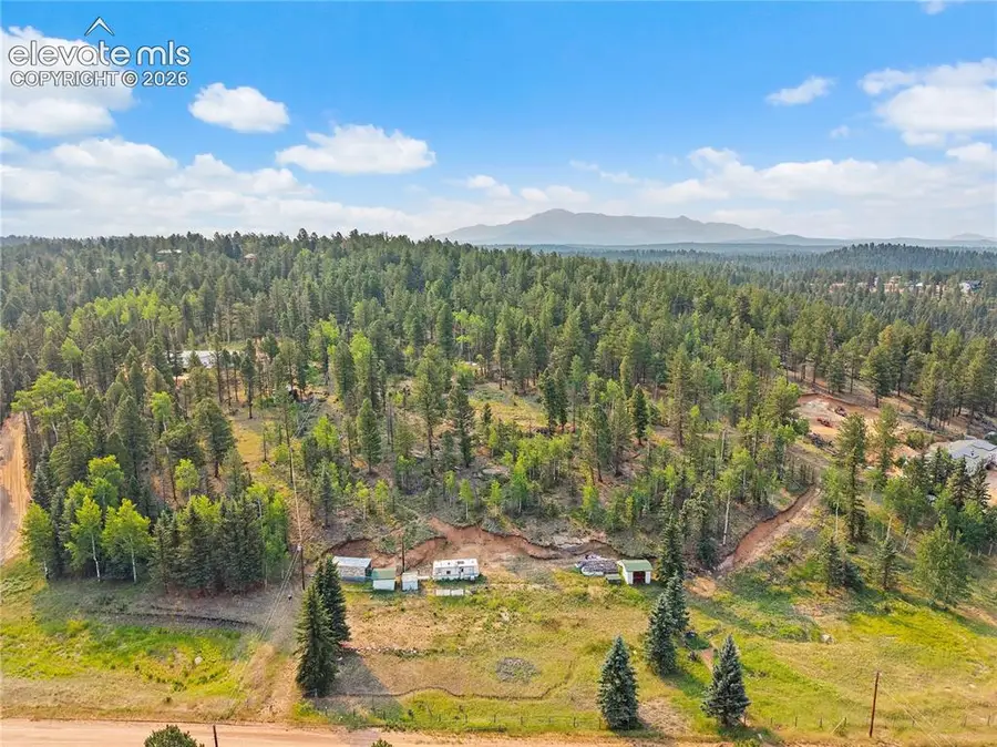 974 W Bison Creek Trail, Divide, CO 80814 - #3