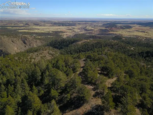 3735 Big Spruce Heights, Colorado Springs, CO 80926