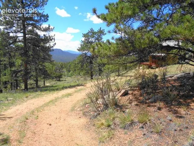 549 Circle Drive, Florissant, CO 80816 - #3