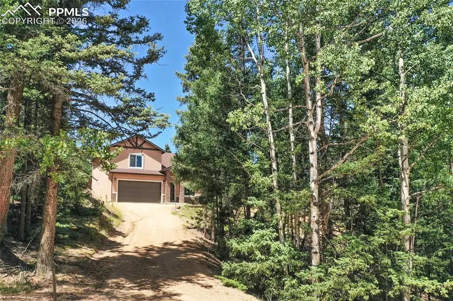 71 Mt Elbert Drive, Florissant, CO 80816 - #2