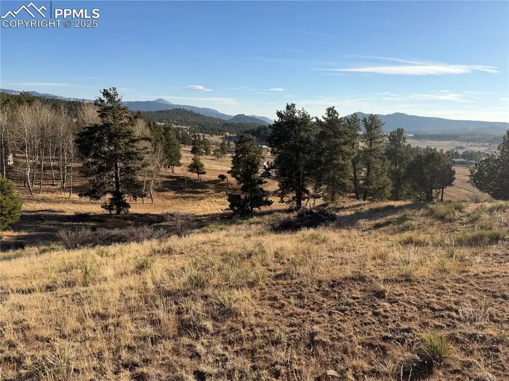 71 Elkhorn Circle, Florissant, CO 80816 - #1