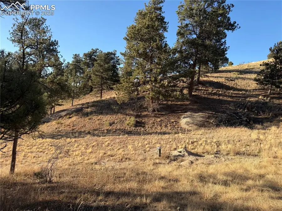 71 Elkhorn Circle, Florissant, CO 80816 - #2