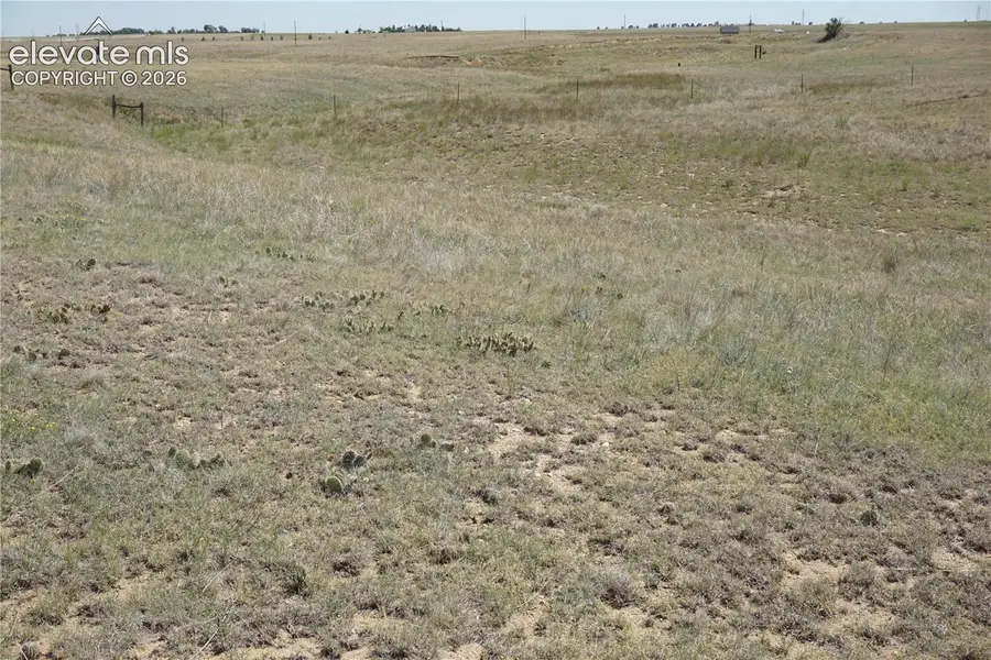 143 N Holtwood Road, Rush, CO 80833 - #2