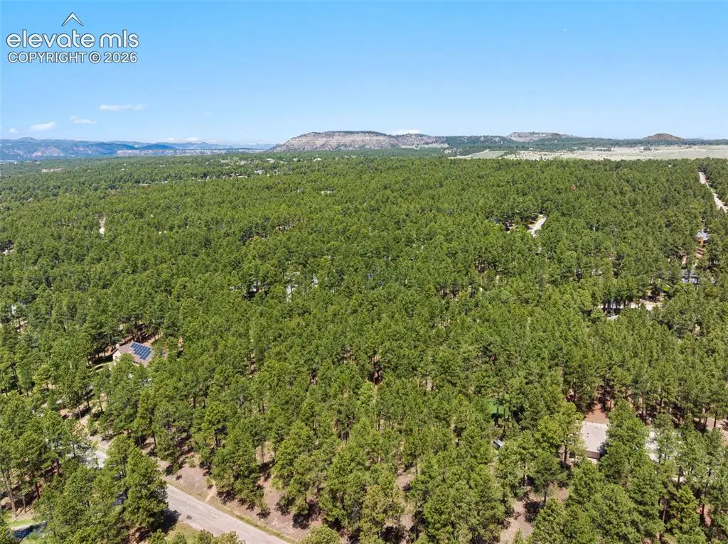140 E Stirrup Trail, Monument, CO 80132 - #1