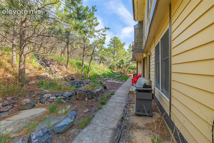 313 Raspberry Lane, Monument, CO 80132 - #3