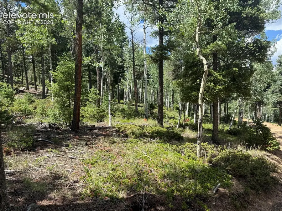 167 Big Bear Road, Manitou Springs, CO 80829 - #2