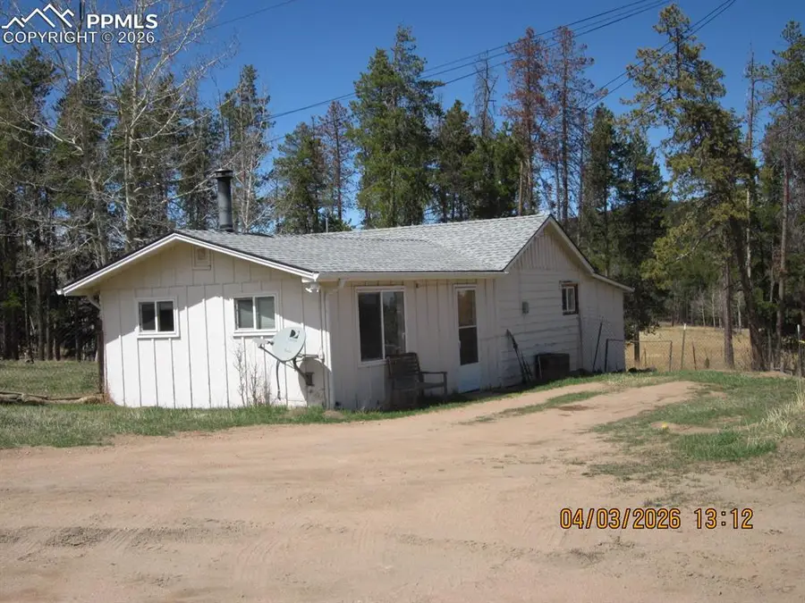 31511 Shadow Mountain Drive, Conifer, CO 80433 - #2