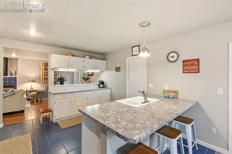 2020 Valley View Drive, Woodland Park, CO 80863 - #3