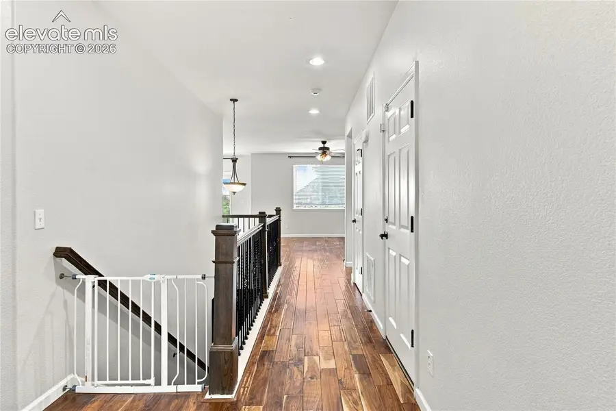8238 Hollygrape Lane, Colorado Springs, CO 80927 - #3