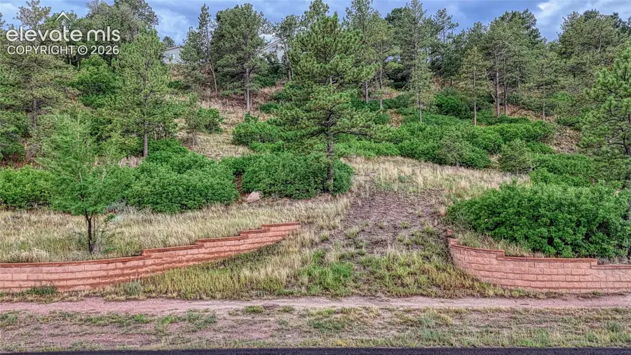 45 E Woodmen Road, Colorado Springs, CO 80919 - #2