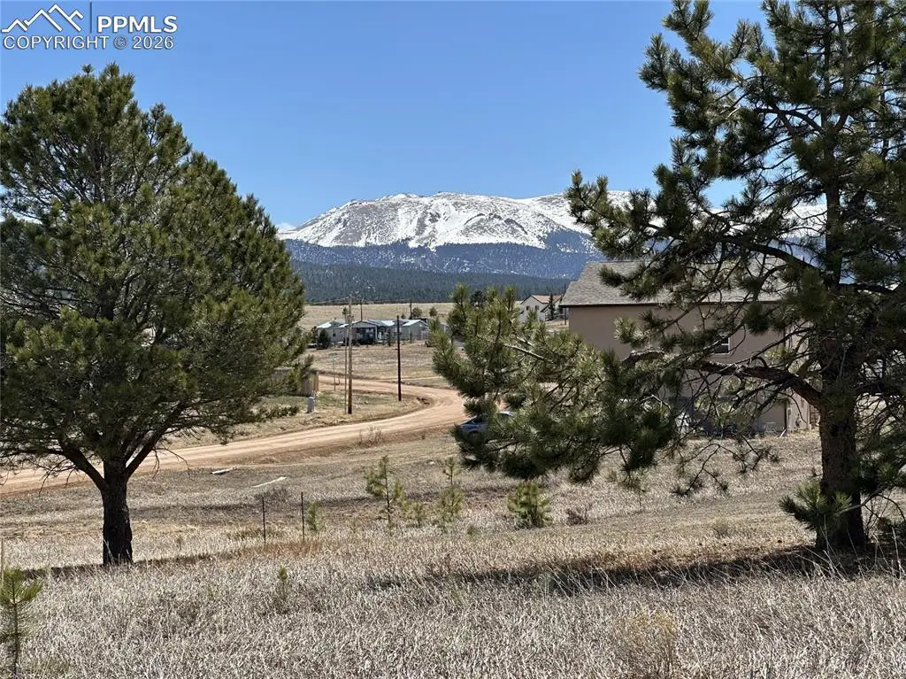 333 Golden Grain Lane, Divide, CO 80814 - #1