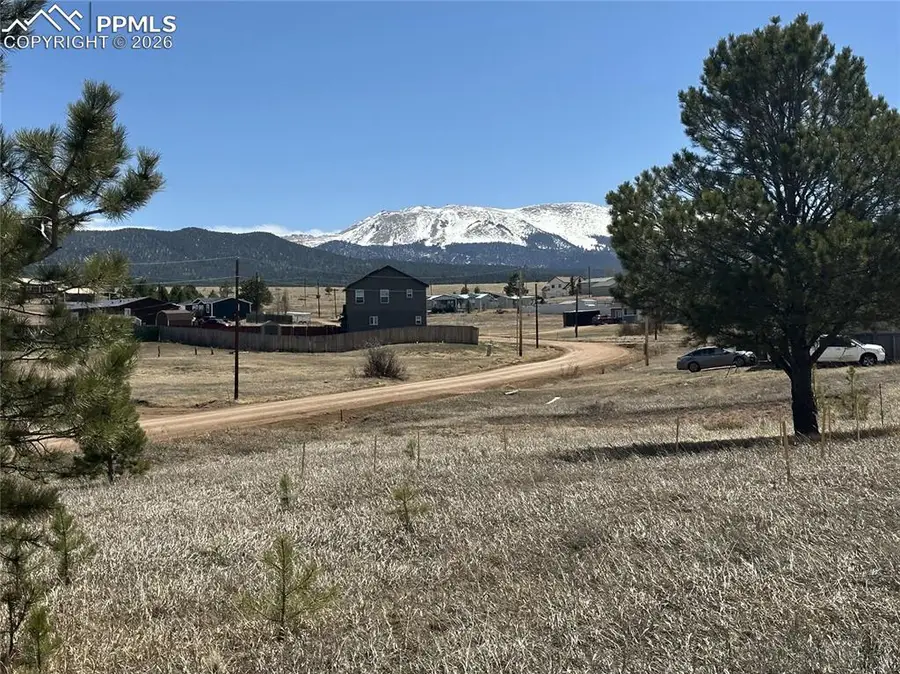 333 Golden Grain Lane, Divide, CO 80814 - #3
