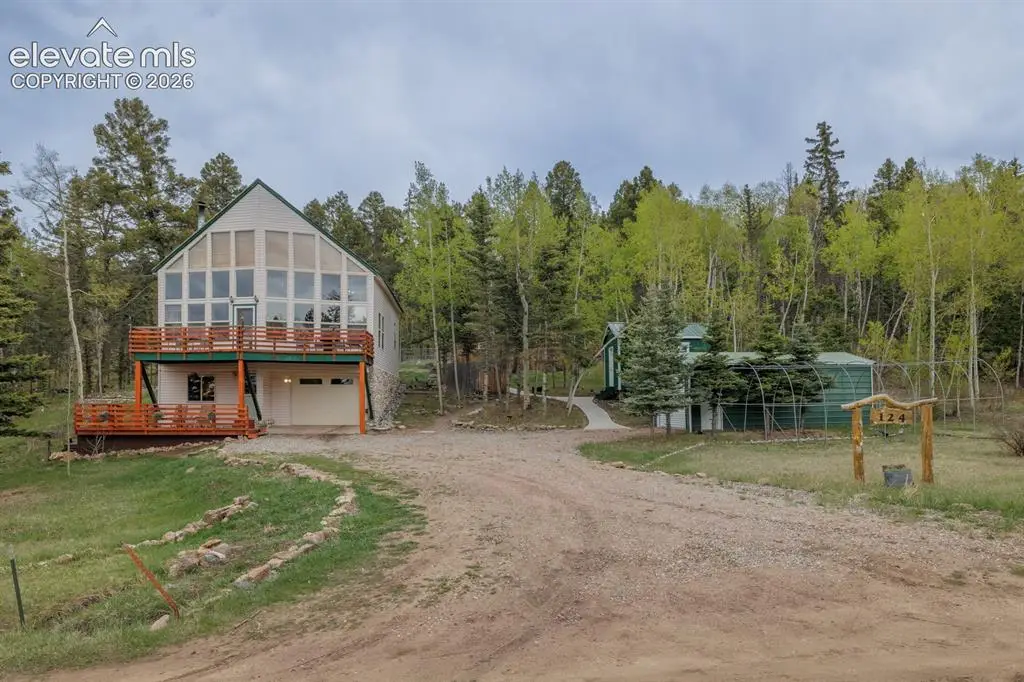 124 Bear Trail, Lake George, CO 80827 - #1