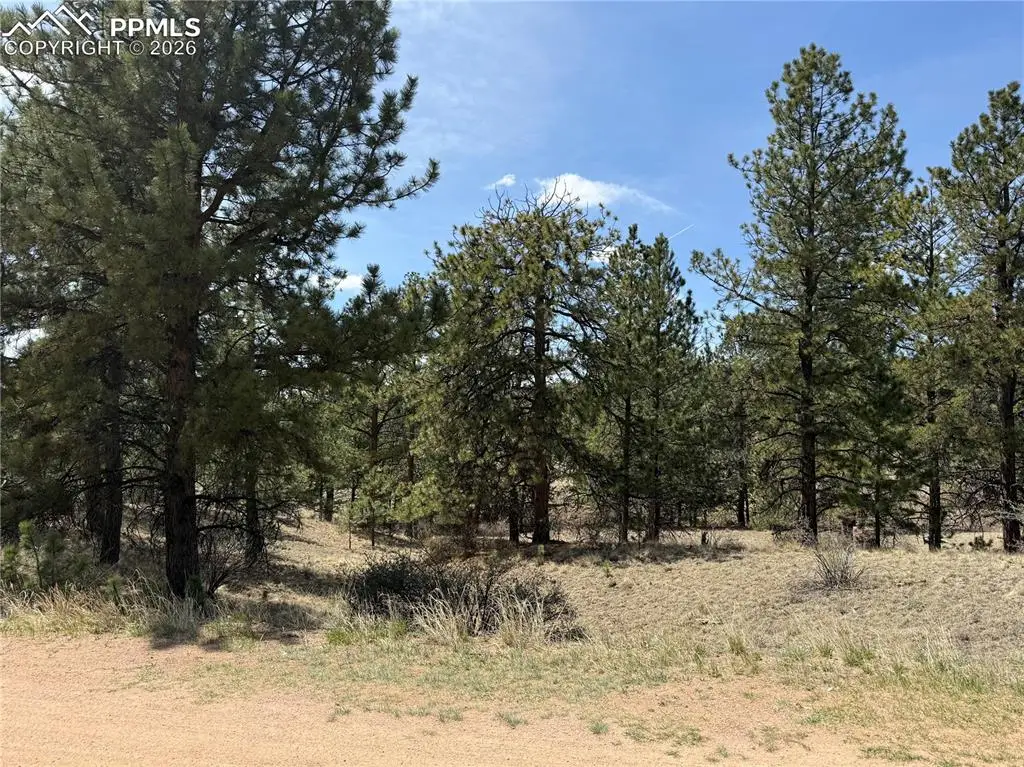 99 Cheyenne Way, Florissant, CO 80816 - #1