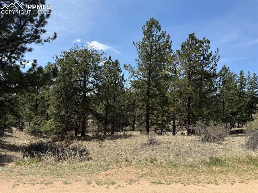99 Cheyenne Way, Florissant, CO 80816 - #2