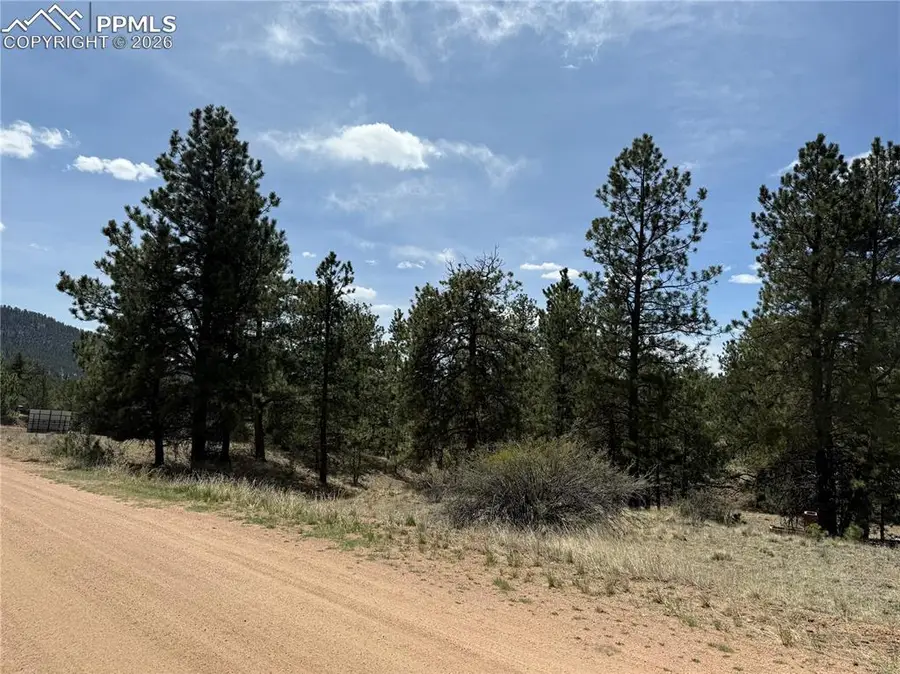 99 Cheyenne Way, Florissant, CO 80816 - #3