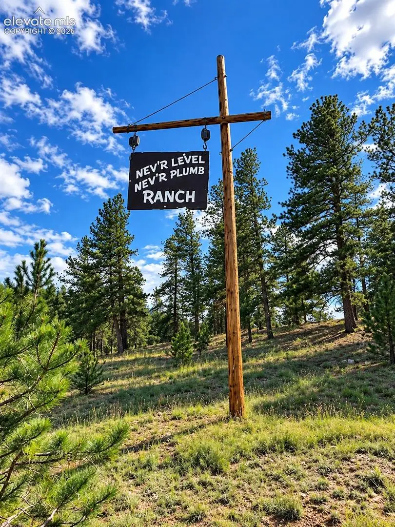 TBD Trail Creek Road, Florissant, CO 80816 - #1
