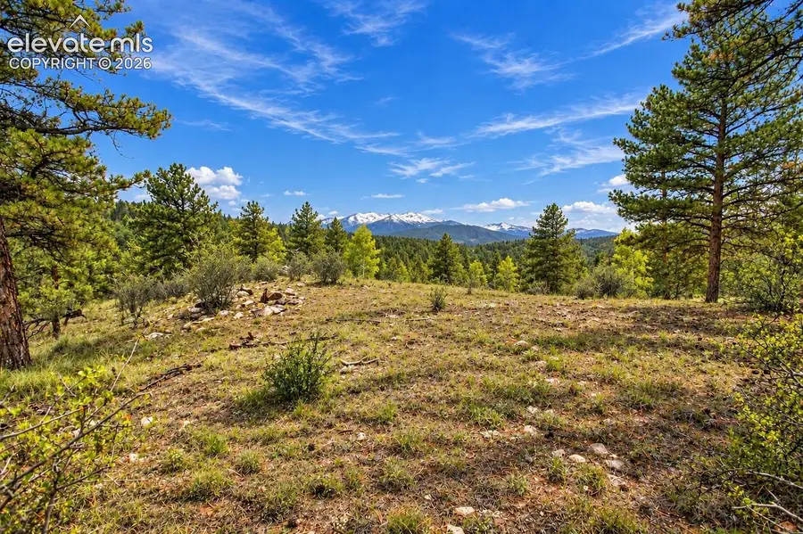 TBD Trail Creek Road, Florissant, CO 80816 - #2