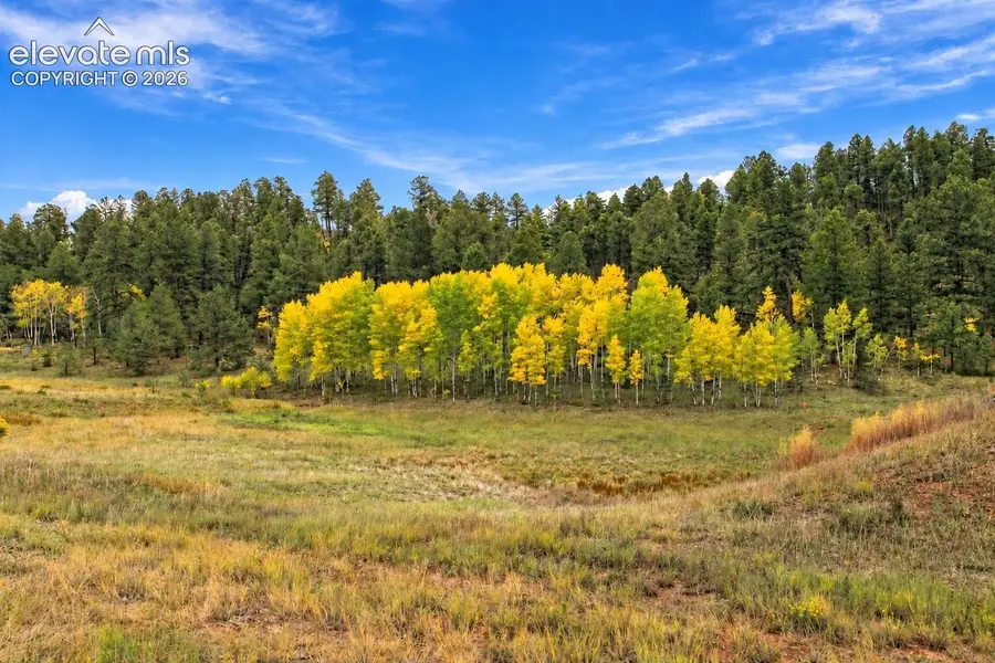 TBD Trail Creek Road, Florissant, CO 80816 - #3