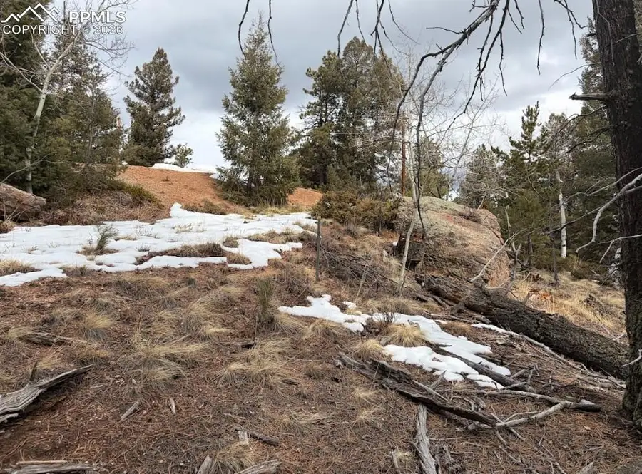 84 Point View Circle, Florissant, CO 80816 - #3