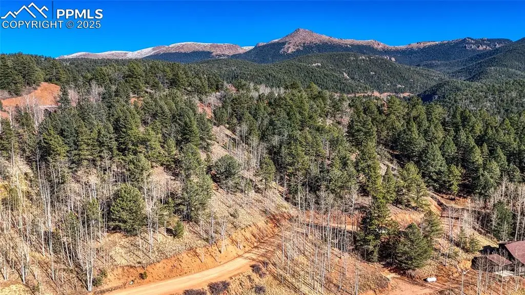 741 Pikes Peak Drive, Divide, CO 80814 - #1