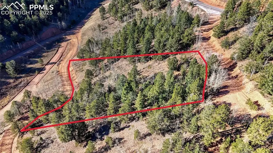 741 Pikes Peak Drive, Divide, CO 80814 - #3